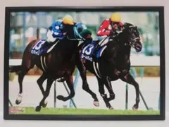 競馬.キングヘイロー.ローレルゲレイロ.パネル.喝采は受け継がれる