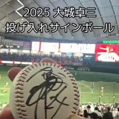 大城卓三選手 シーズンシート限定直筆サインボール 非売品