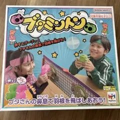ブタミントン
