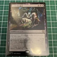 シブシグの儀式 TDM