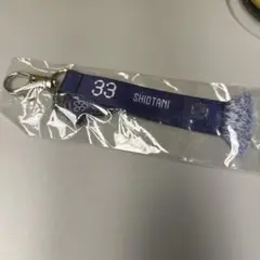 サンフレッチェ広島 33 塩谷司
