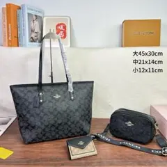 【人気】COACHハンドバッグショルダーバッグ財布3点セット