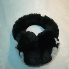 Item thumbnail for item 1fc64dbc-5de1-401d-a0b0-37e2de29b87c