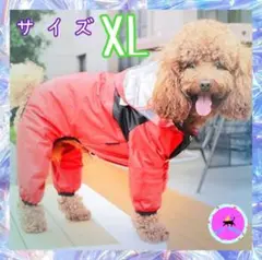 レインコート レッド XL雨の日の散歩に カラフルに過ごす すっぽり頭まで XL