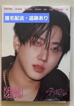karma　アルバム　アコーディオン　CD 開封済み　チャンビン