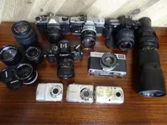 Item thumbnail for item 75cd94c5-8803-4741-a7b4-495f576033f2