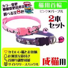 Item thumbnail for item 025733cb-7607-47f8-bb23-1dea3399a381