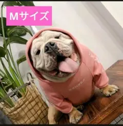 T15 犬服 Mドッグウェア ユニコーンパーカー ピンク フード かわいい