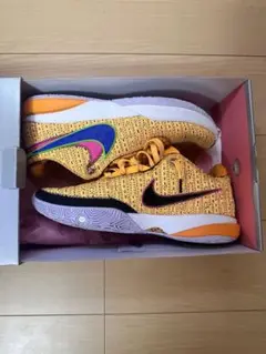 Nike レブロン20レザーオレンジ