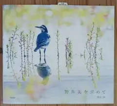 野鳥美を求めて