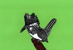 切り絵　ヤマセミ