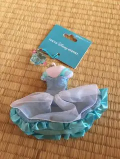 ディズニー限定シンデレラ 携帯クリーナーキーホルダー