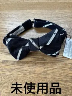 Item thumbnail for item eae1dfa2-8a61-473a-9af5-38c0a0aeba16