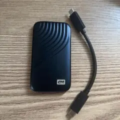 ウエスタンデジタル WD My Passport SSD 2TB ブルー