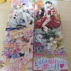 TL小説4冊 今だけ　580円