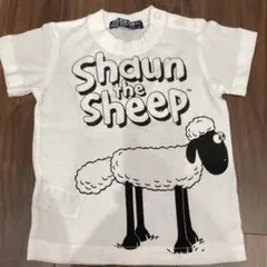 【LITTLE BEAR CLUB】ひつじのショーン　コラボ　半袖　tシャツ③