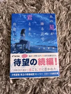 あの星が降る丘で、君とまた出会いたい。
