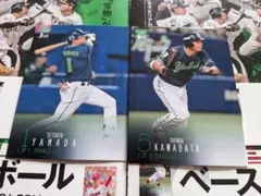 122 123/BBM 2024 1st ヤクルト 2枚セット