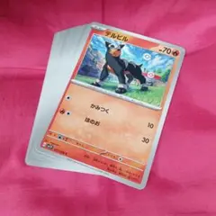 ポケモンカード・デルビル・20枚セット