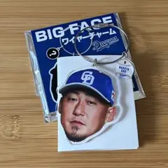 中日ドラゴンズ BIG FACE ワイヤーチャーム 中田翔