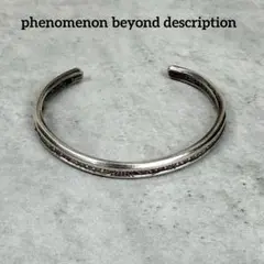 2025年最新】phenomenon beyond descriptionの人気アイテム