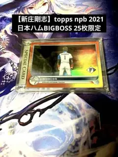 Item thumbnail for item 7cc4c2ef-3181-4c42-9bb1-17ed83a4d29d