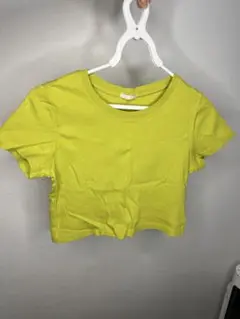ライムグリーン クロップド半袖Tシャツ