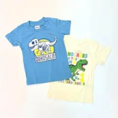 子供服 男の子 半袖Tシャツ まとめ売り 恐竜 120cm 新品 FSN2-3