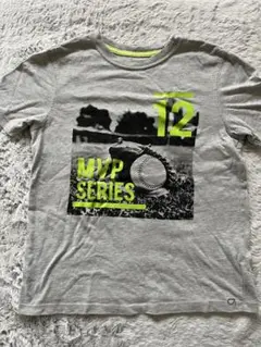 Item thumbnail for item f5dffdf9-2073-417b-acba-2e91f355d23d