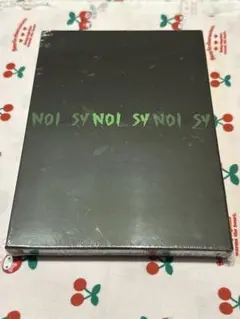 Stray Kids NOEASY 未開封
