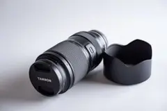 Item thumbnail for item c5408ff8-4d79-42df-b244-2c99c780364a