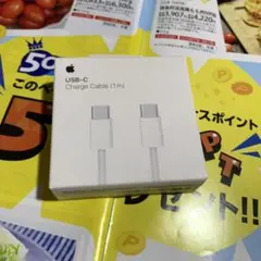 アップル 純正充電器 60W USB-C充電ケーブル 編み込み式 1メートル