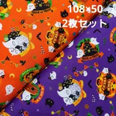 ハロウィン生地　ハロウィーン生地　かぼちゃ　お化け　パンプキン　50cm2枚　C