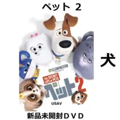 新品未開封 ペット2 [DVD] 送料無料 設楽統 日村勇紀 佐藤栞里 伊藤沙莉