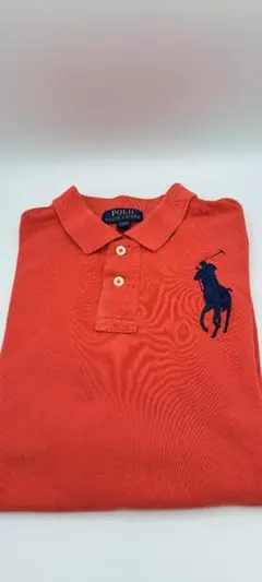 POLO RALPH LAUREN M(10-12歳)150