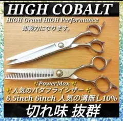 Item thumbnail for item d574d414-3333-406a-a656-1fb743f0cca1