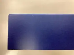 YAMAHA ヤマハ ギガアクセスVPNルーター RTX830 初期化済み