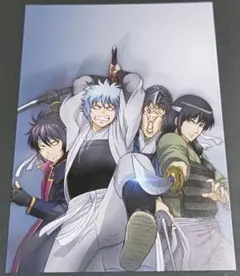 銀魂 イラストカード 特典 坂田銀時 攘夷志士 公式 gintama