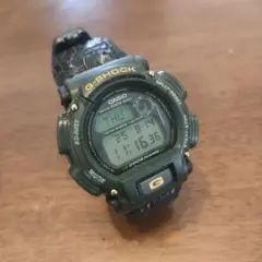 CASIO G-SHOCK DW-8800 カモフラ マサイマラ 象