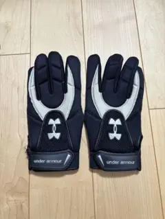 Item thumbnail for item 9b8c8124-14ae-48d3-86ab-f25ba45a7526