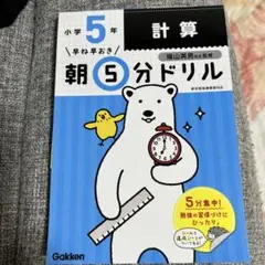早ね早おき朝5分ドリル 小5計算