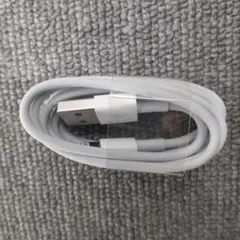 新品 Apple純正品　USB タイプA to ライトニングケーブル 正規品