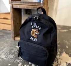 【新品未使用】AMBERROAR しまむら　リュック　アンバーロア