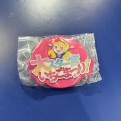 アイカツ 2個セット ガチャガチャ