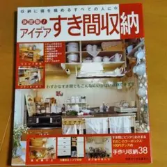 決定版!アイデアすき間収納