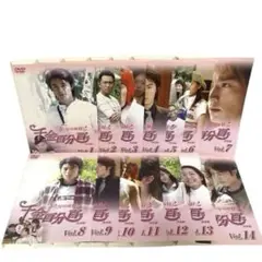 千金百分百 ふたりのお嬢様 完全版 DVD 全14巻 セット