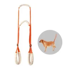 Item thumbnail for item e701f76a-4fe8-48c8-a39b-cb95d3e54896