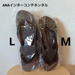 ANAインターコンチネンタル 石垣 ビーチサンダル 2足セット(M・L) 新品