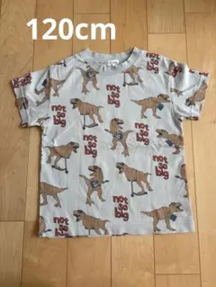 notsobig 恐竜柄 Tシャツ 120