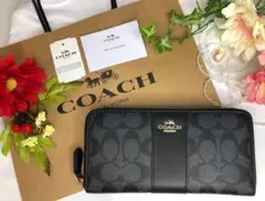 COACH コーチ グレー シグネチャー ブラックスモーク ストライプ